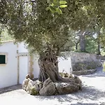 Villa Gran Voramar Cala